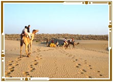 Camel Safari in Jaisalmer