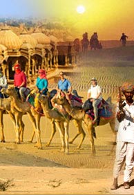 Camel Safaris in Jaisalmer