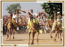 Desert Festival in Jaisalmer