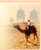 Desert Safari in Jaisalmer