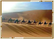 Desert Safari, Jaisalmer