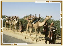 Local transportation in Jaisalmer