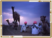 Nightlife in Jaisalmer