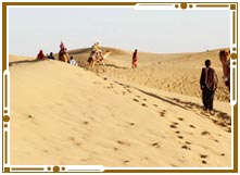 Safari in Jaisalmer